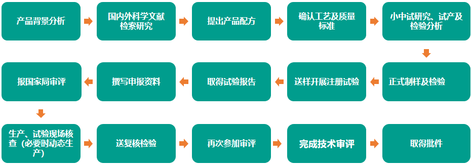 申报流程图.png