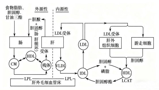 1764050736452958.png 7ffd07b3-2748-4392-8f95-65212c4f165e.png