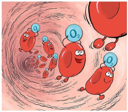 1768981064458620.png image.png